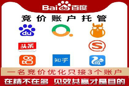百度推广实战：成功案例解析